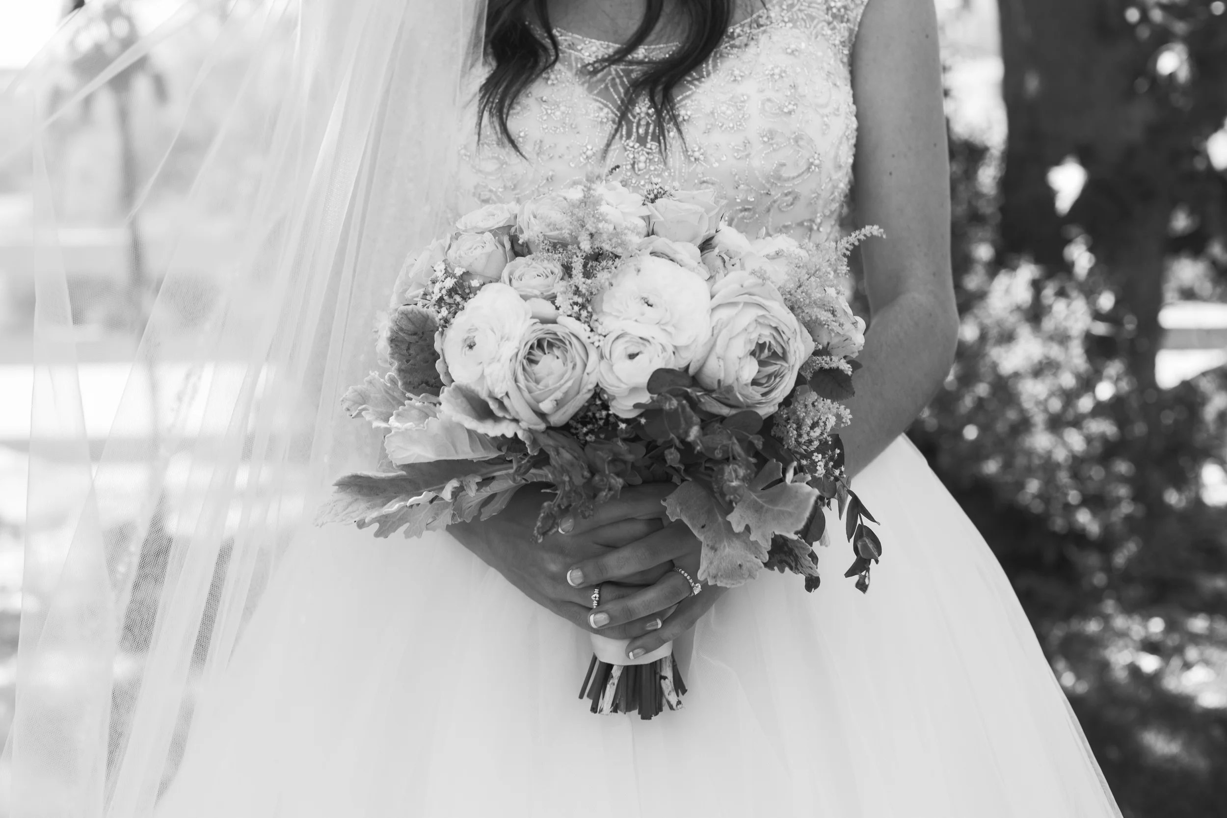 Lucido Blog-670.jpg