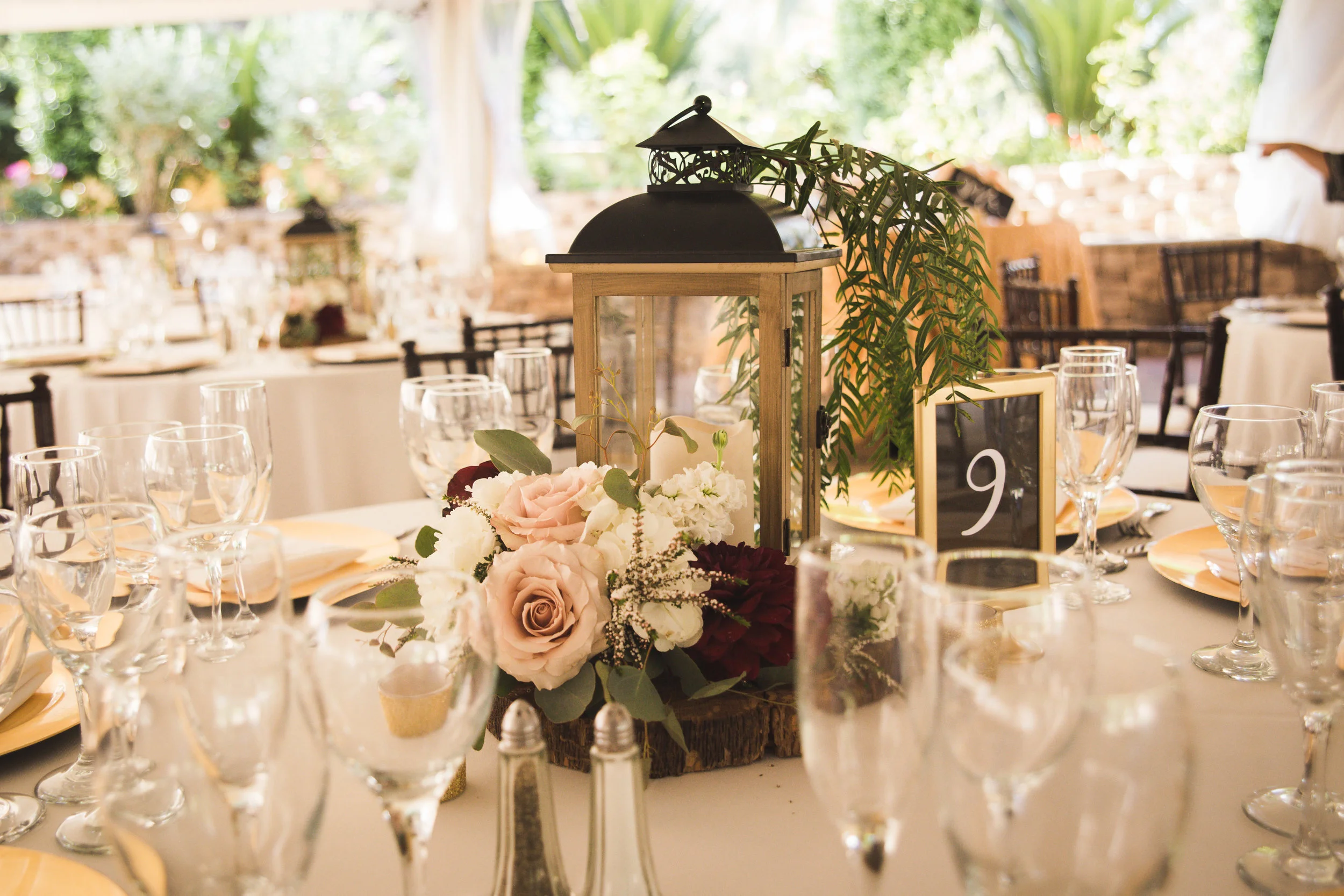 Danny Ashley Blog-61.jpg