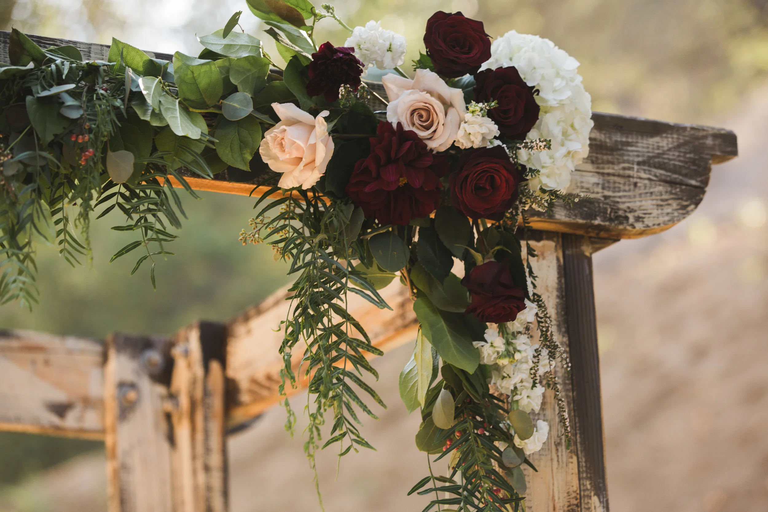 Danny Ashley Blog-64.jpg