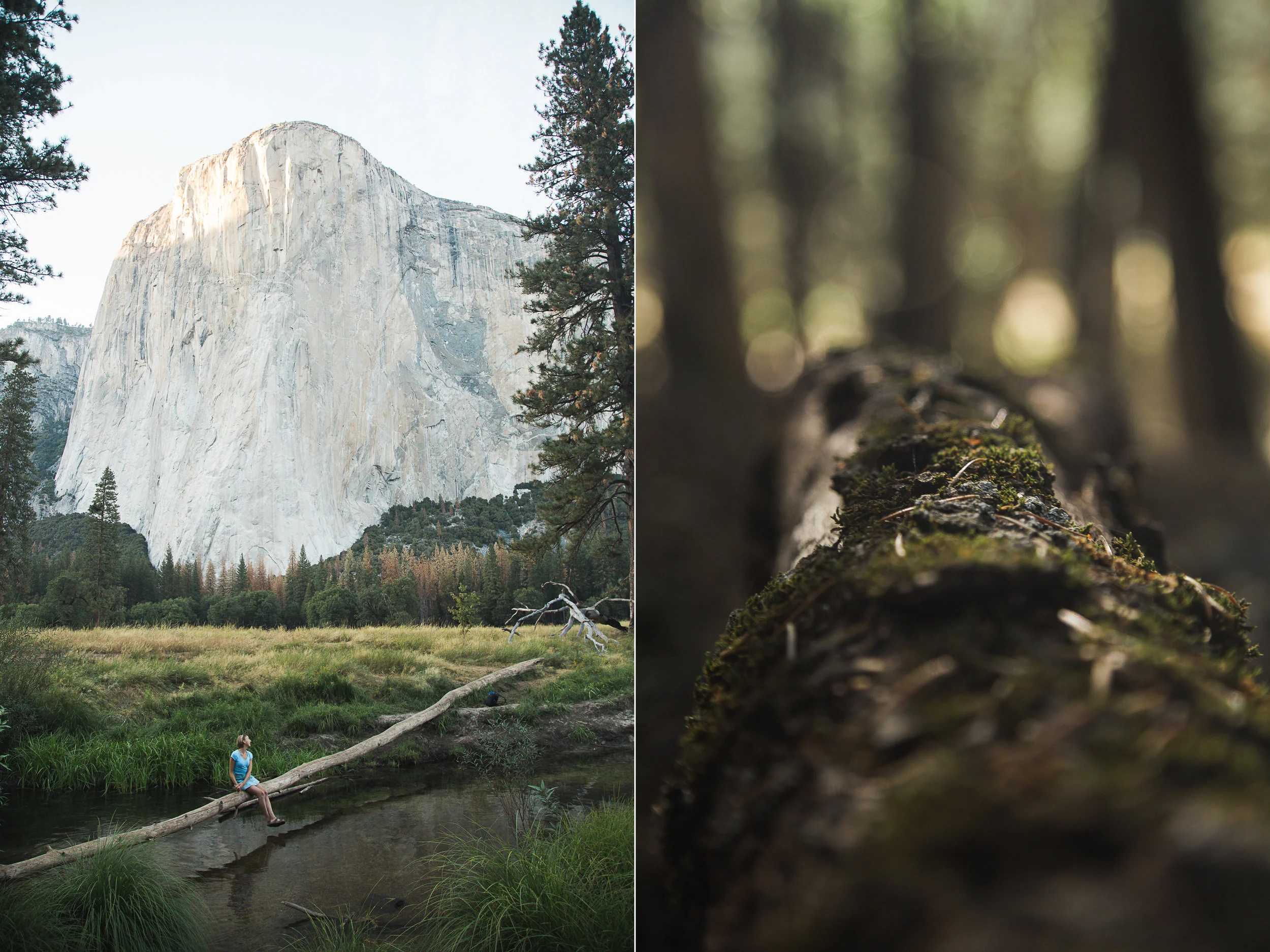 print5.jpg