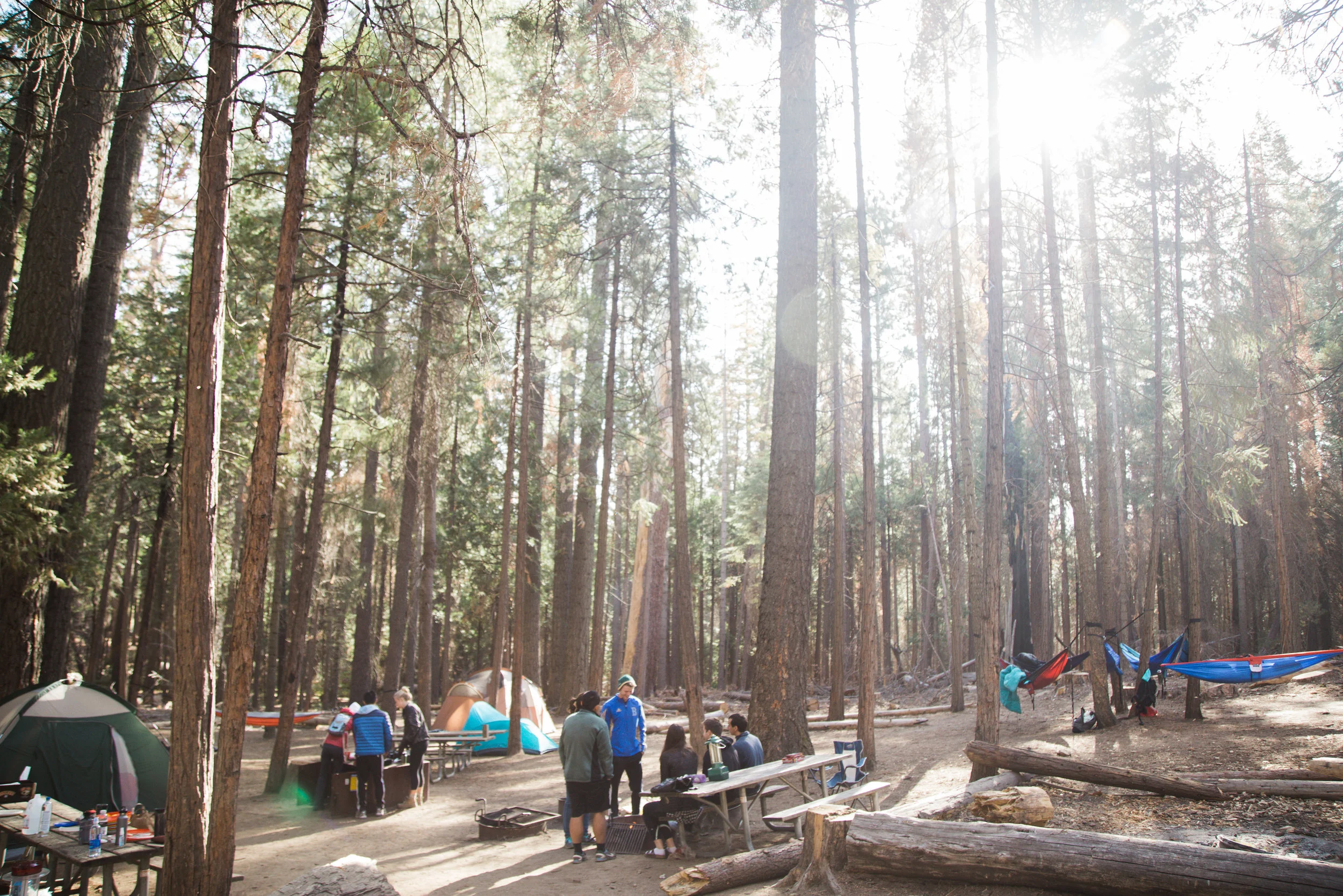 Yosemite Blog-12.jpg