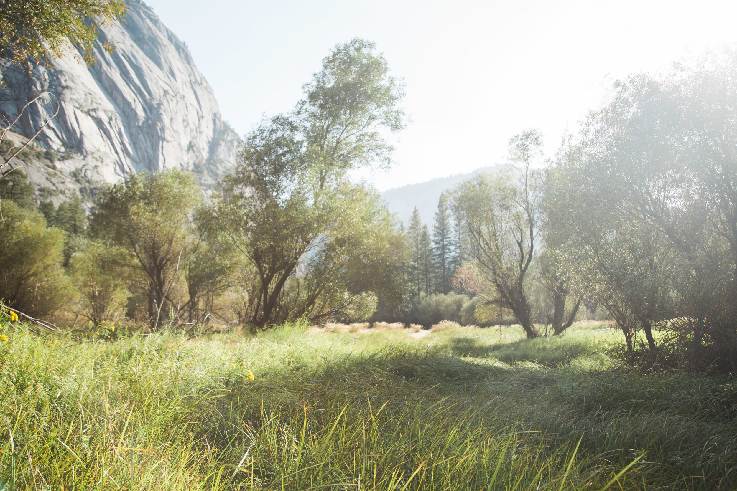 Yosemite Blog-39.jpg
