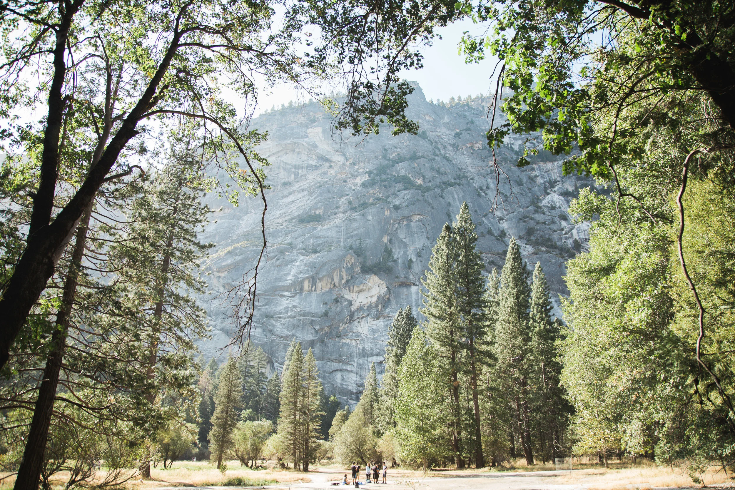 Yosemite Blog-38.jpg