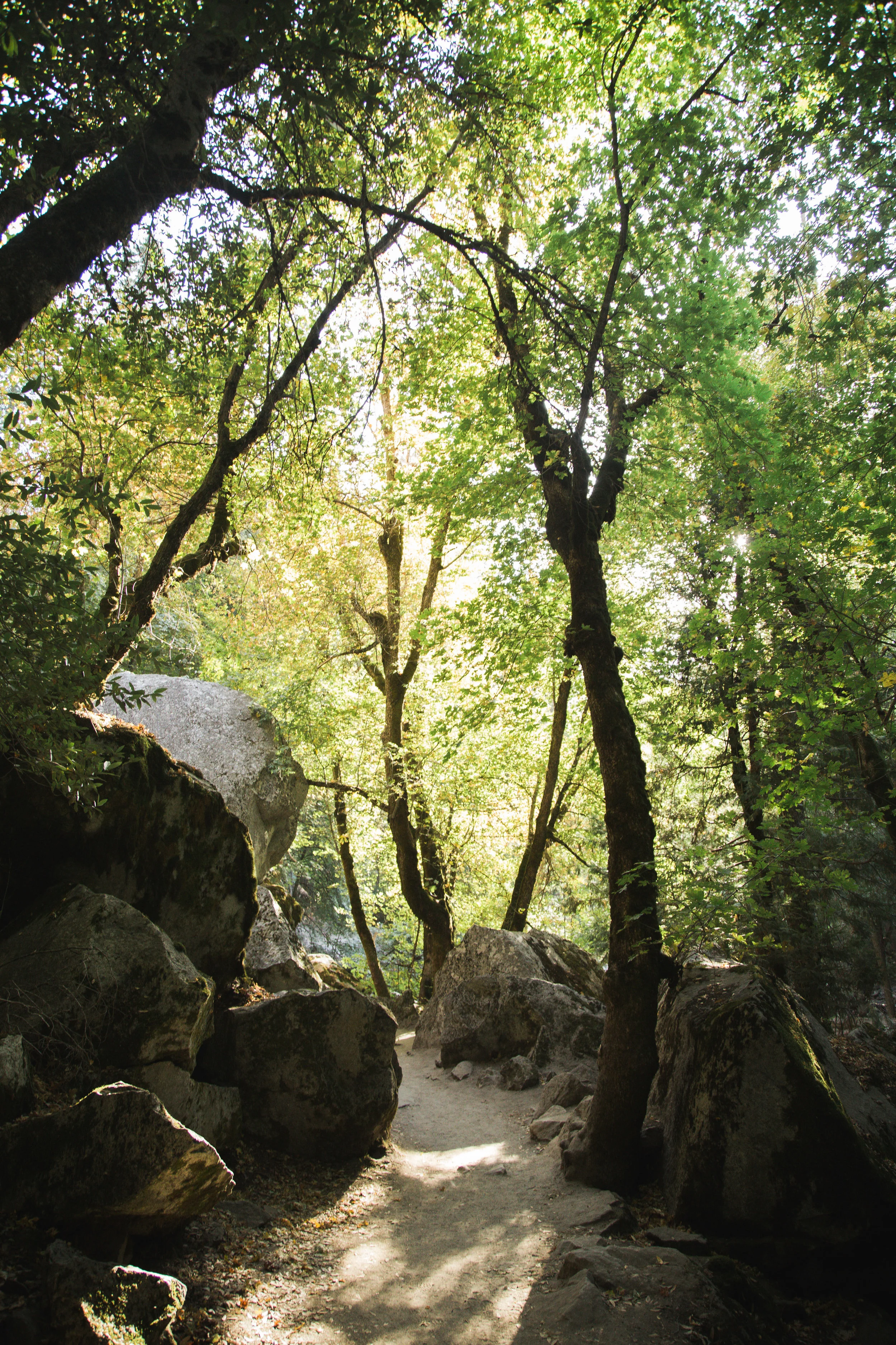 Yosemite Blog-41.jpg