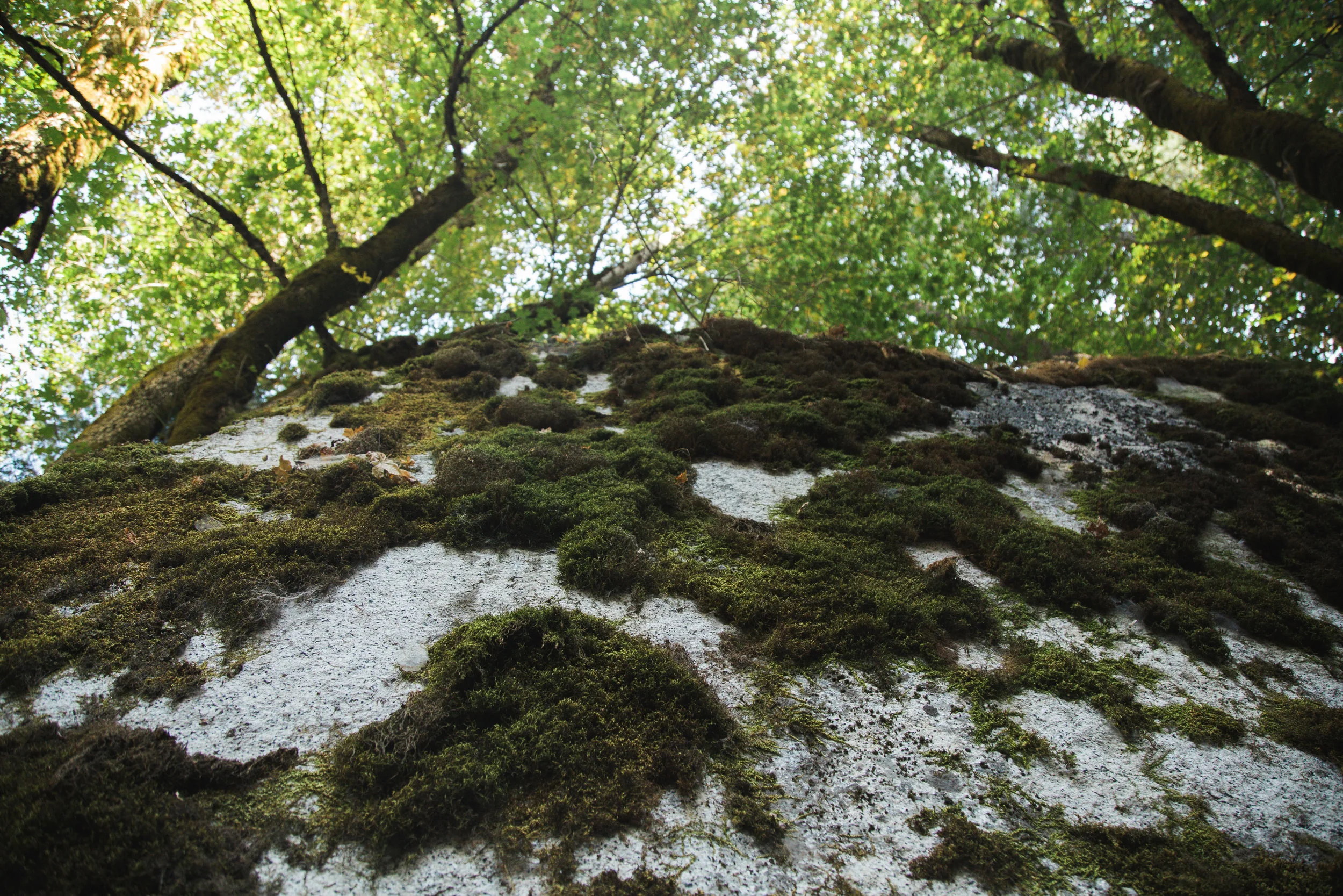 Yosemite Blog-42.jpg