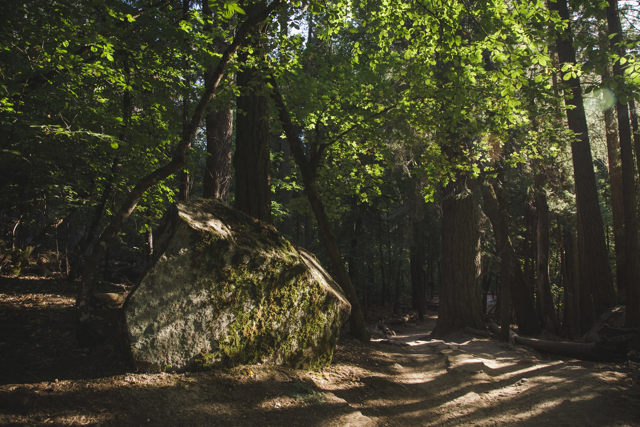 Yosemite Blog-43.jpg