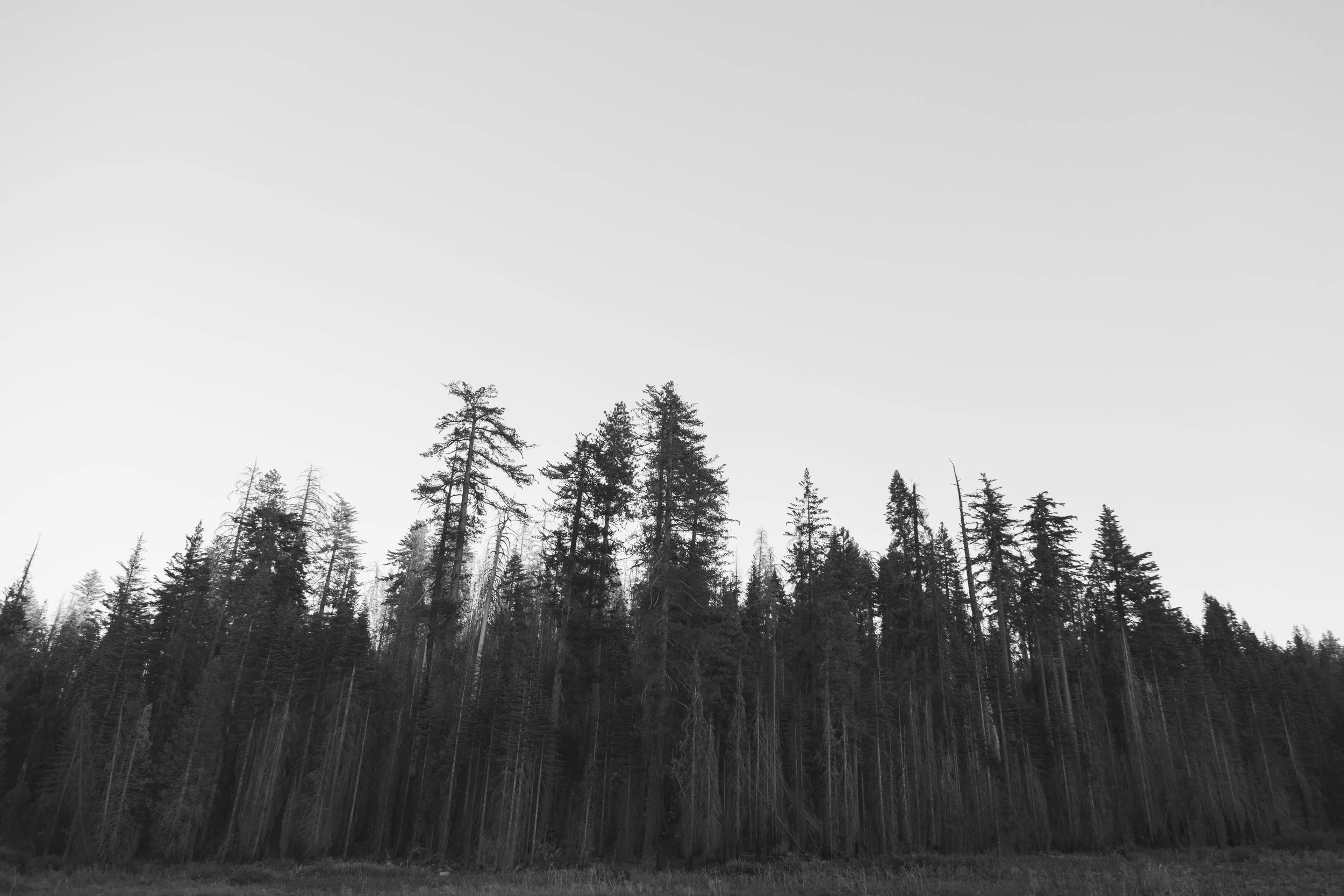 Yosemite Blog-44.jpg