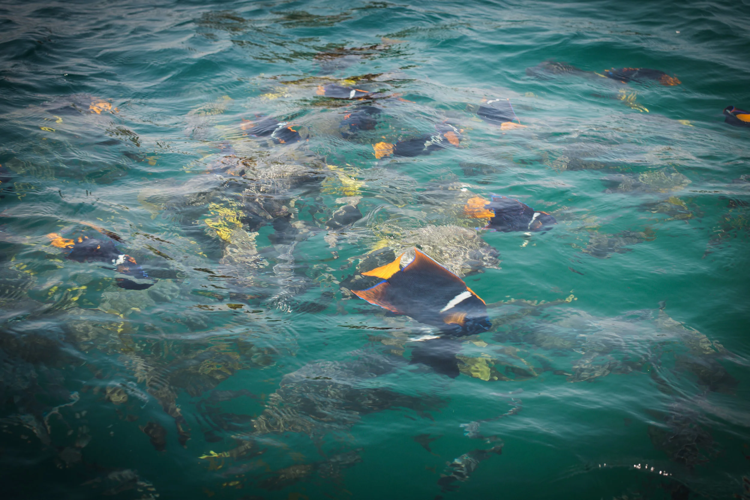 Cabo Blog Edits-12.jpg