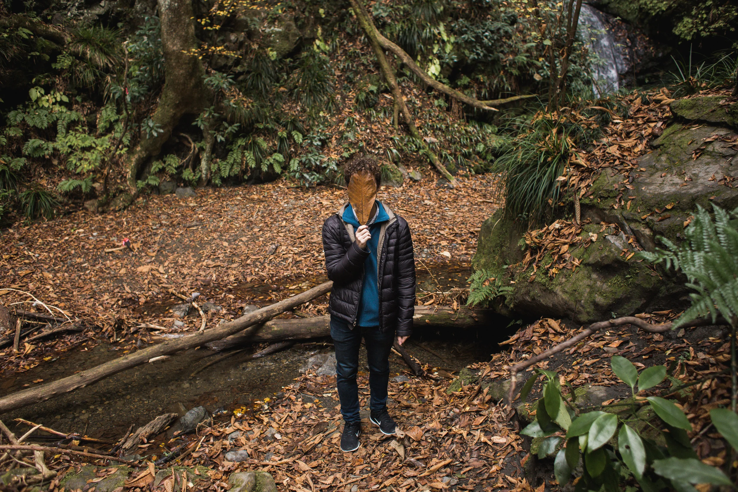 Okutama-6.jpg