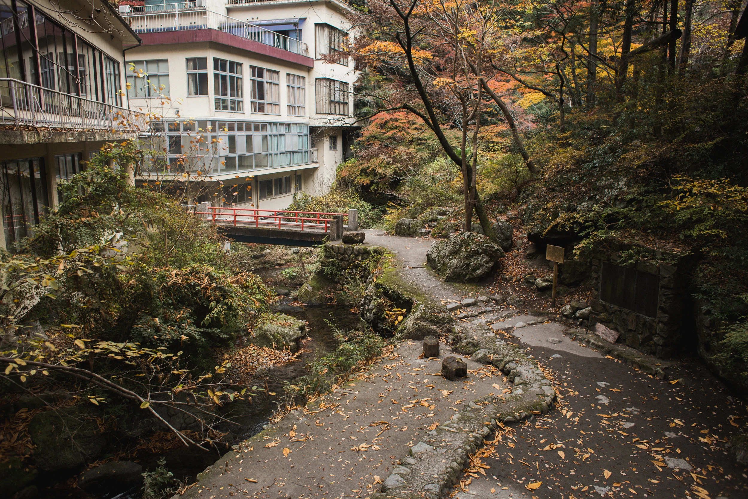 Okutama-15.jpg