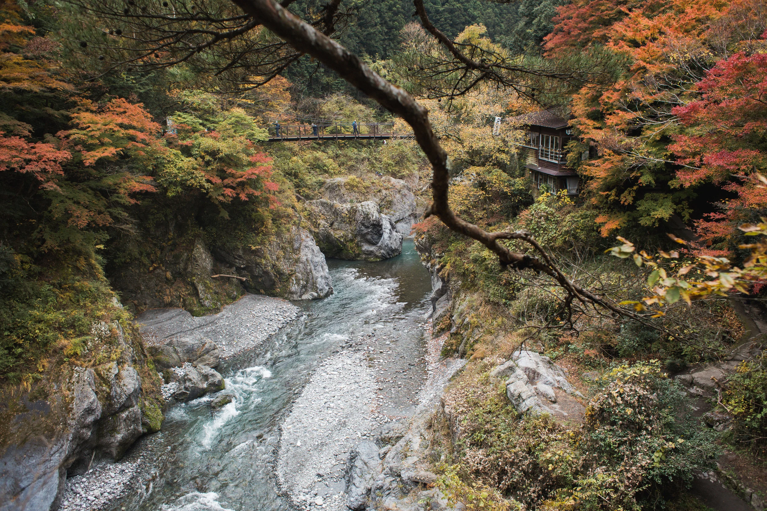 Okutama-19.jpg