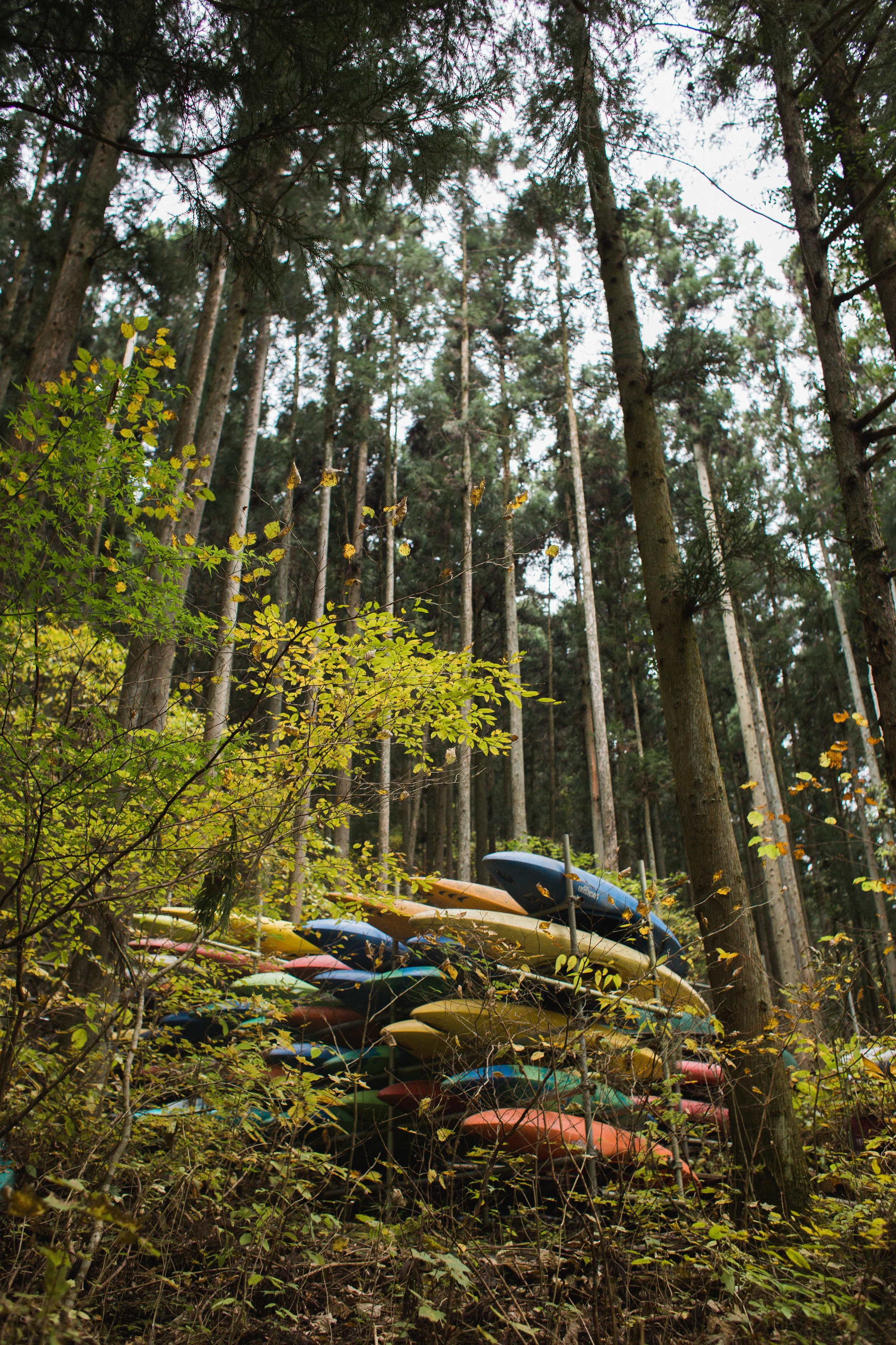 Okutama-73.jpg