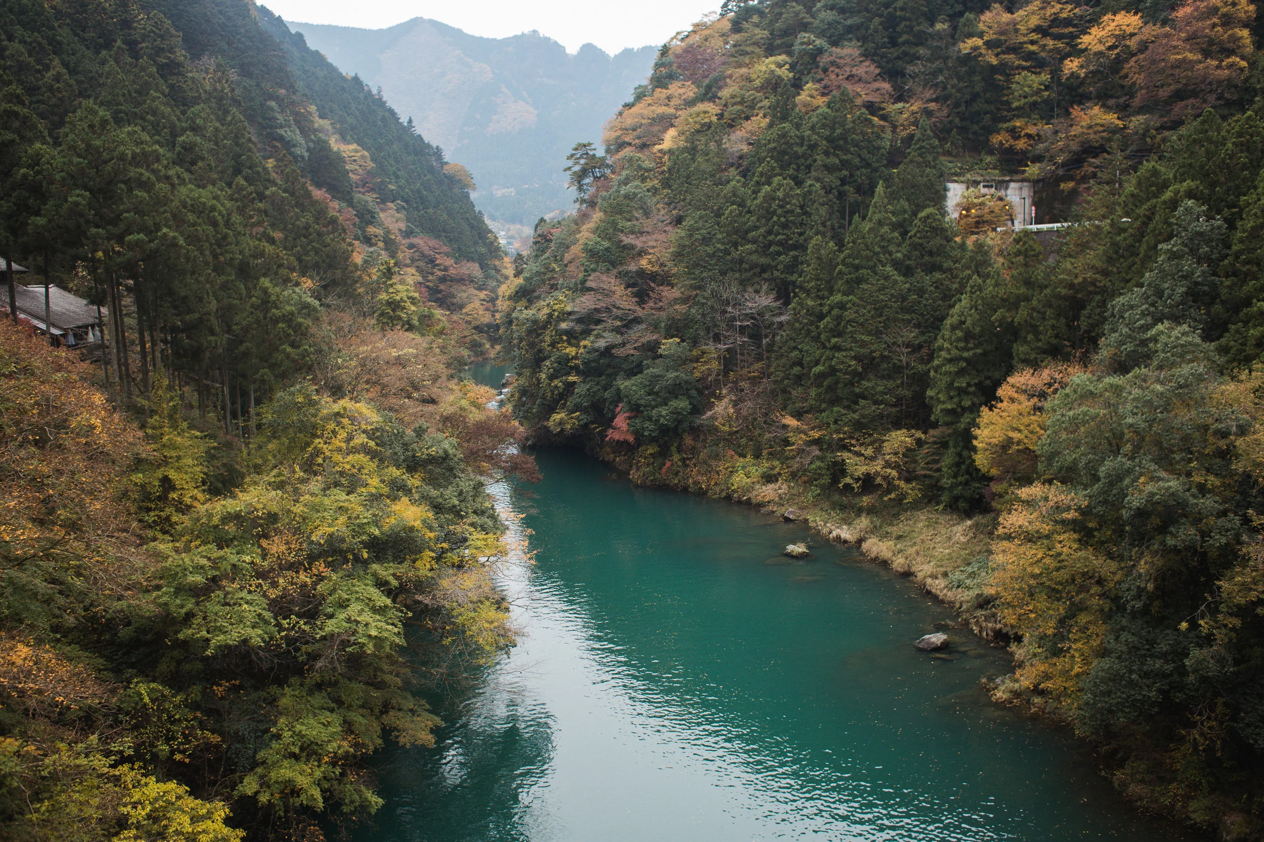 Okutama-86.jpg