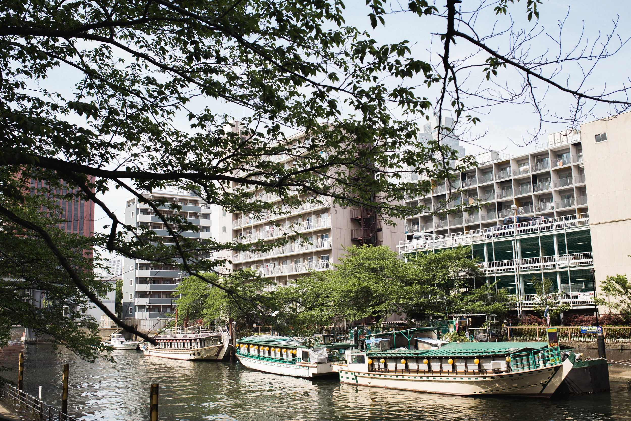 Sumida Gawa Walk-17.jpg