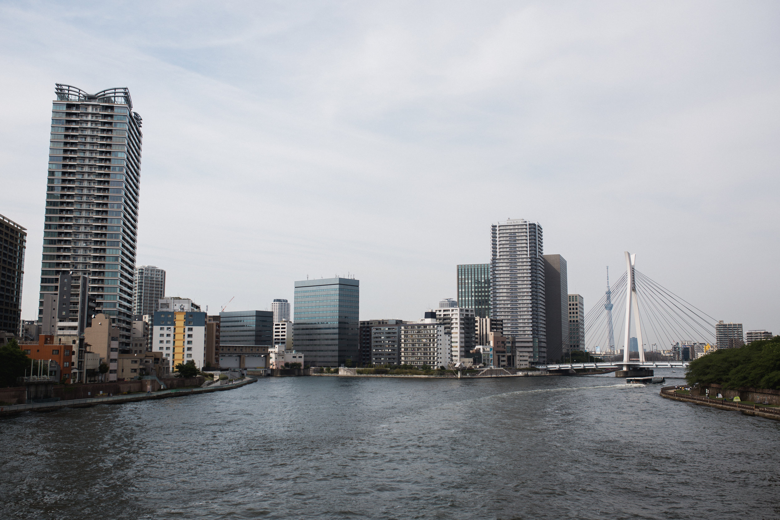 Sumida Gawa Walk-29.jpg