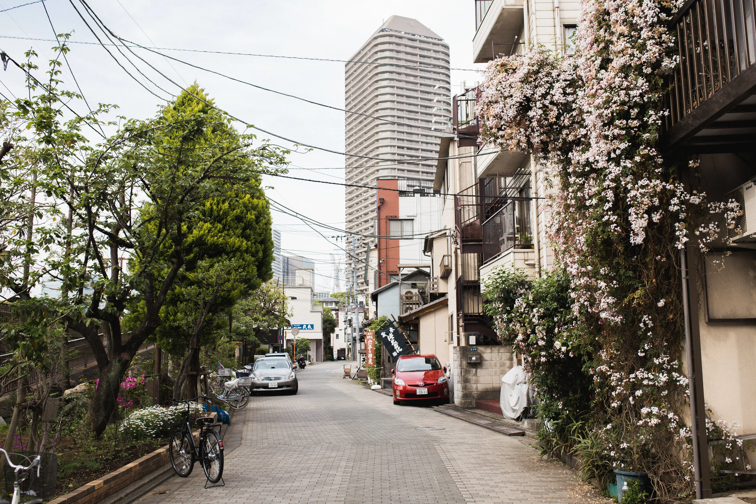 Sumida Gawa Walk-30.jpg