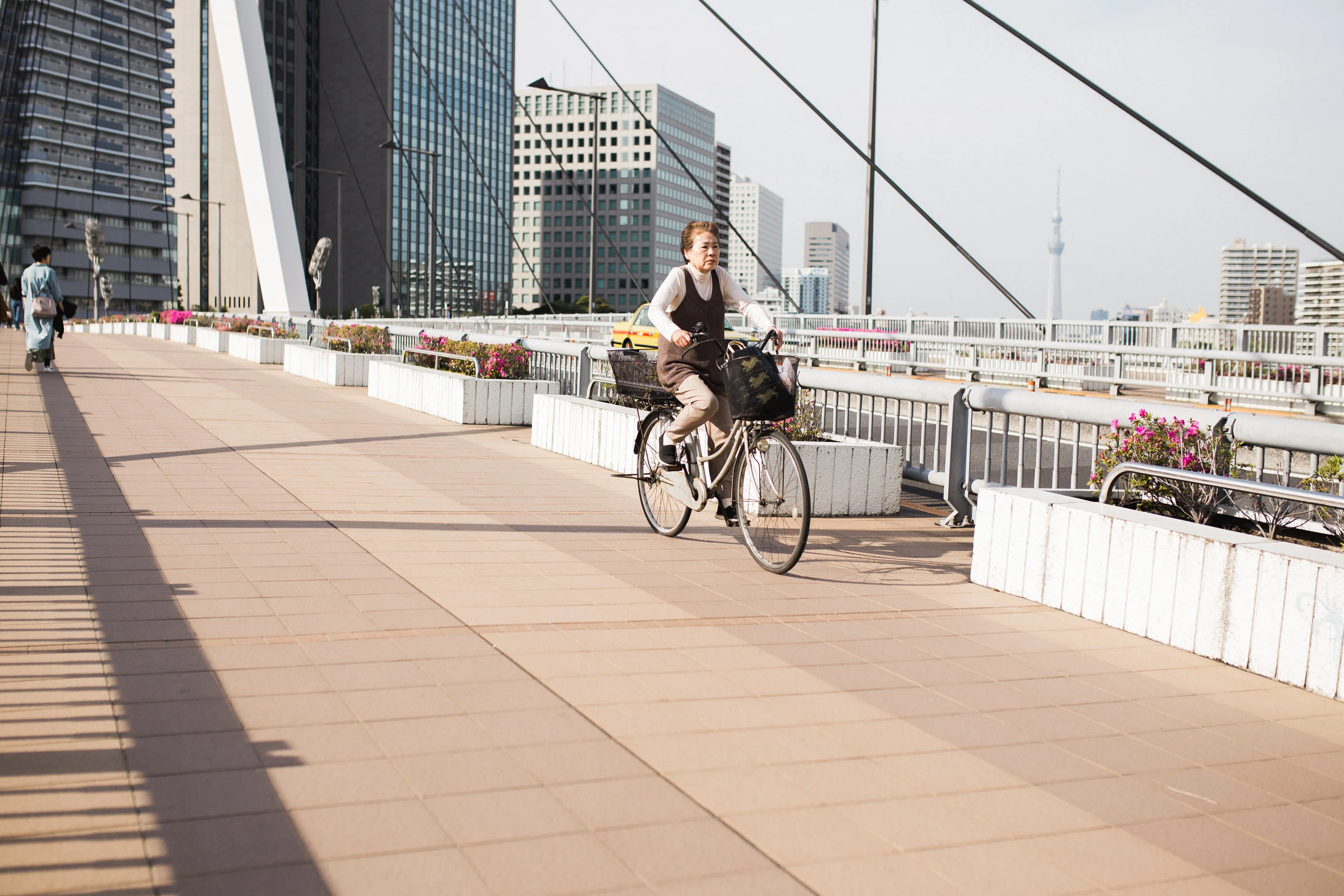 Sumida Gawa Walk-36.jpg