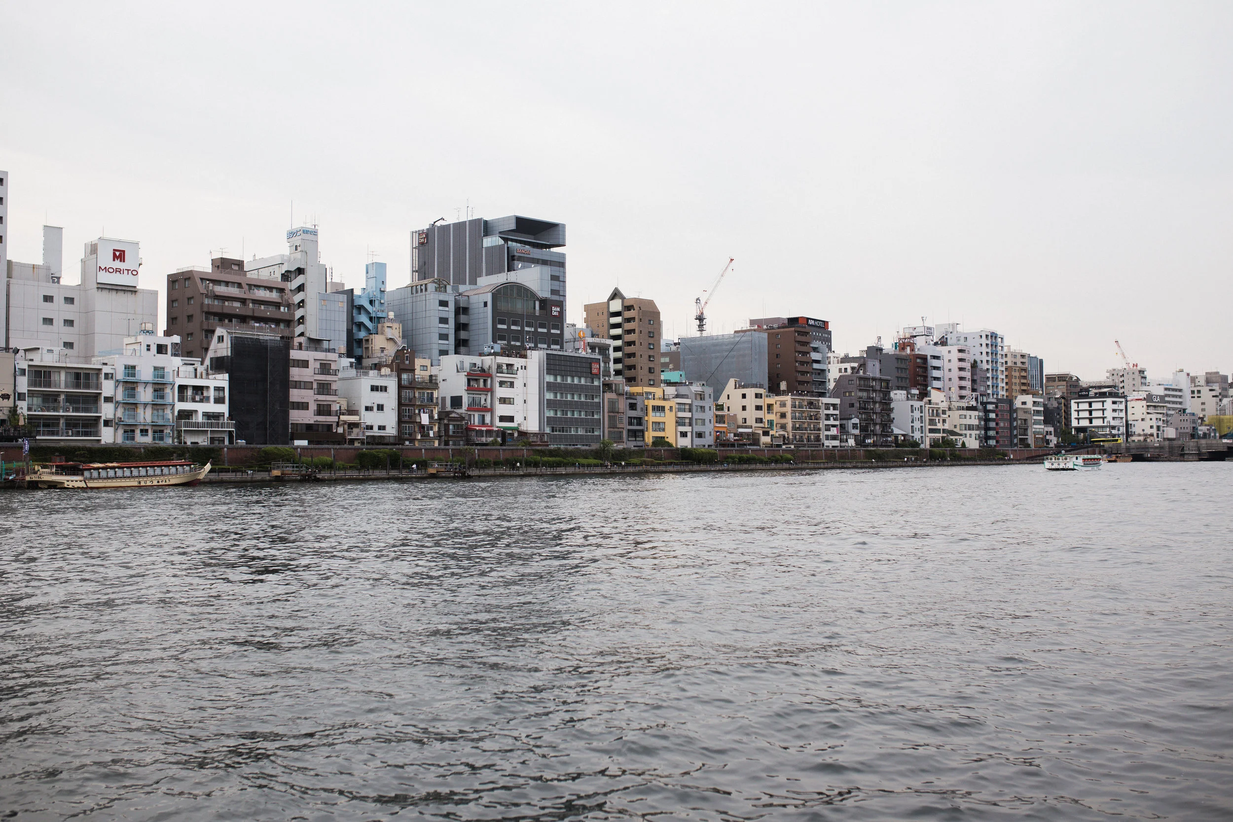 Sumida Gawa Walk-47.jpg