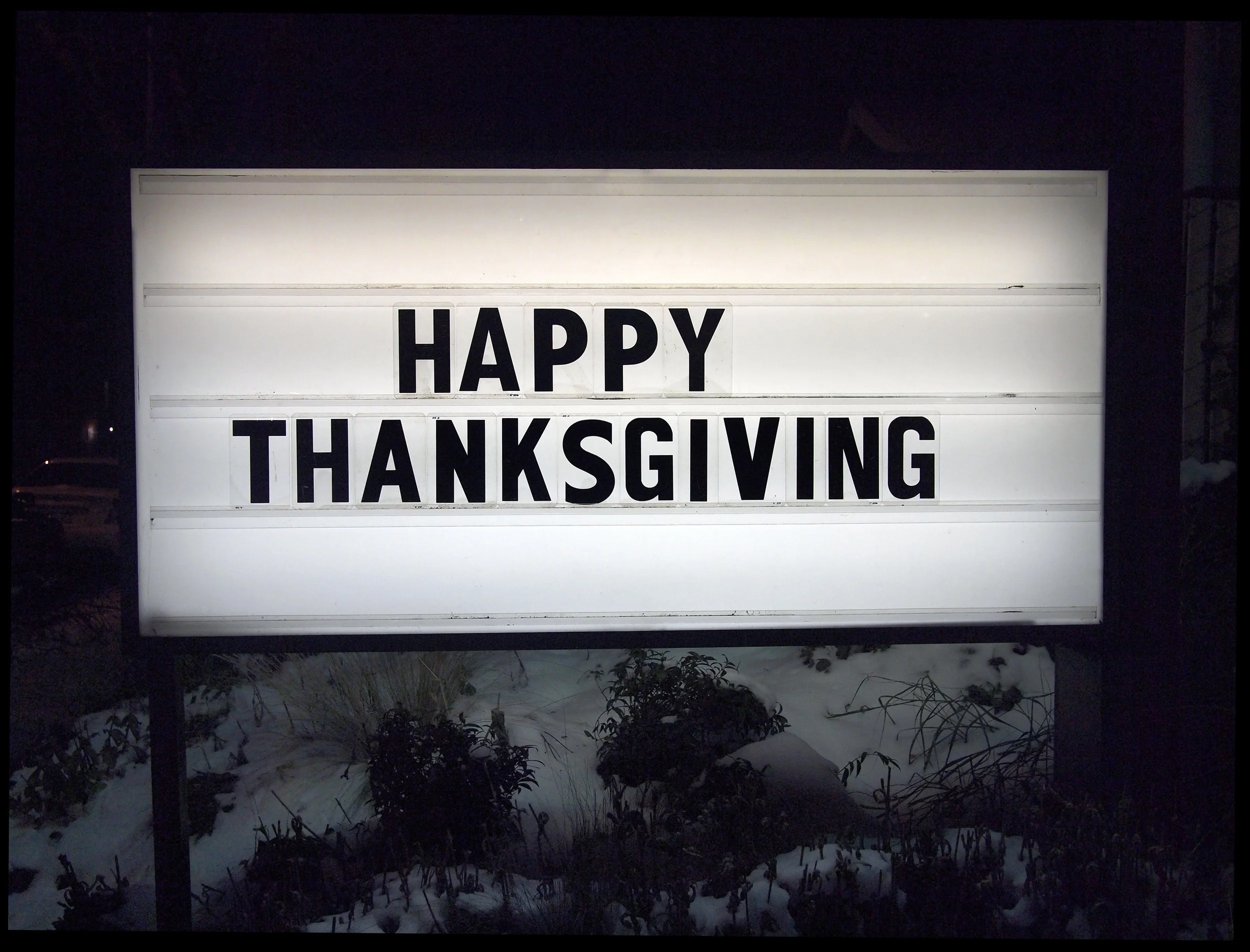 feel-sorry-for-the-turkey_5205726489_o.jpg