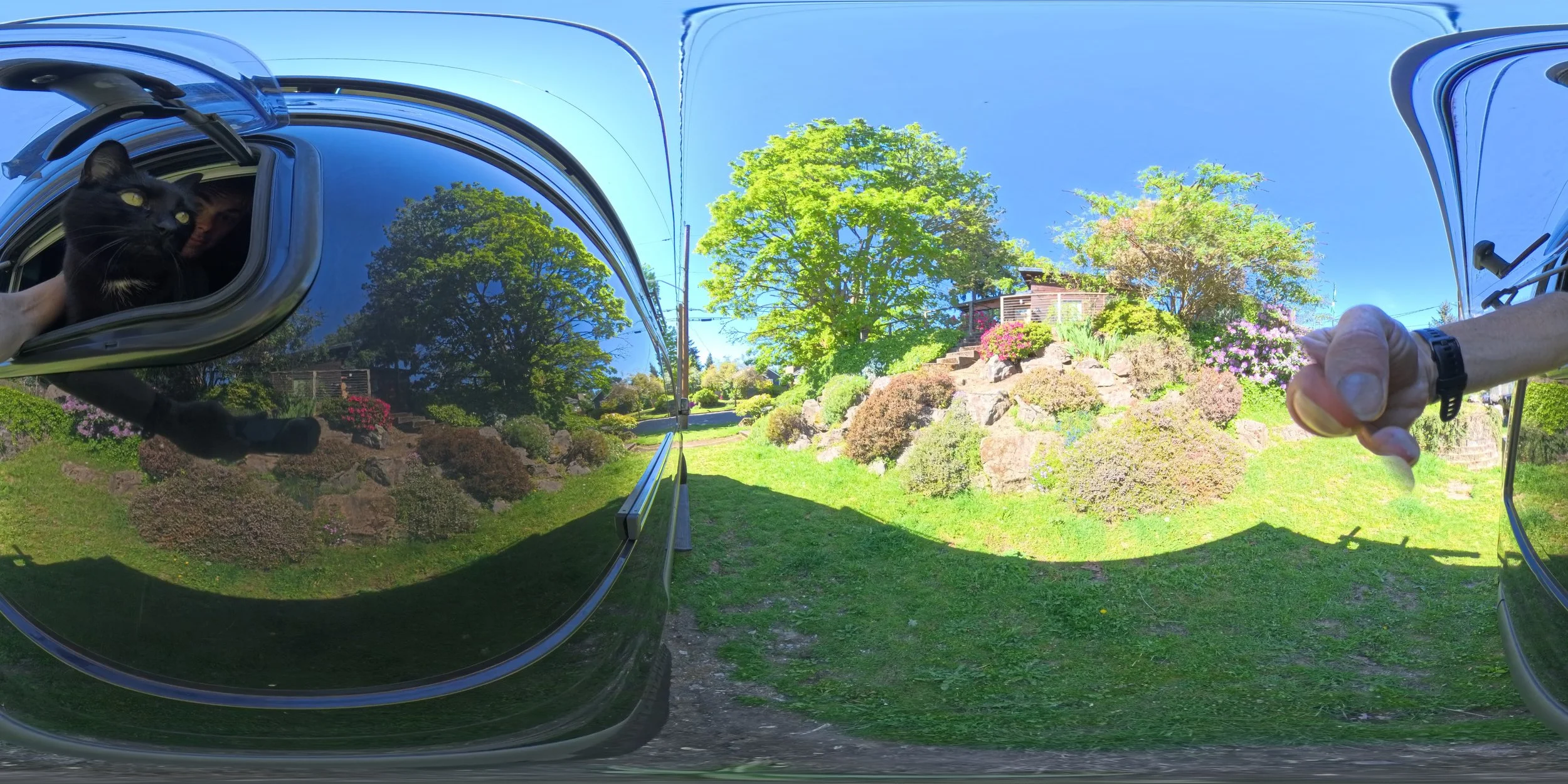 Equirectangular Panorama Test.jpeg