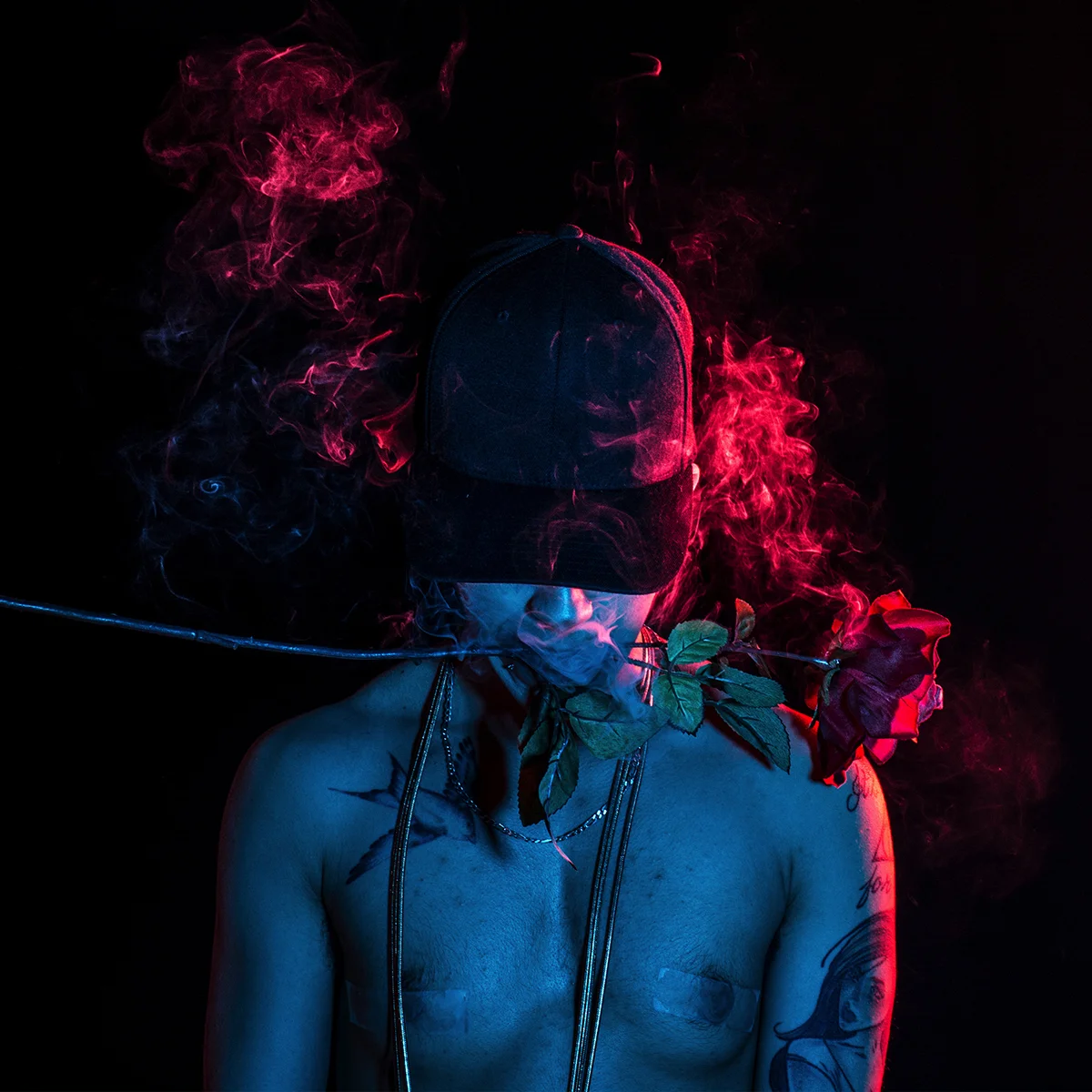 Photo by Susanne Seres , adapted by Rebecca Lieberman