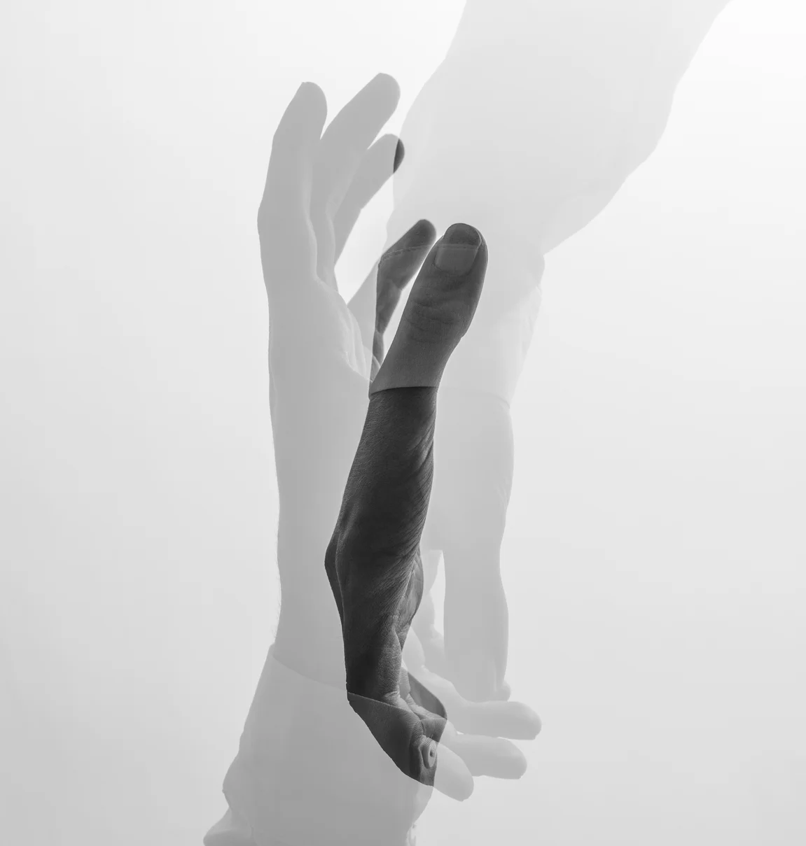 Image by Bonnin Studio