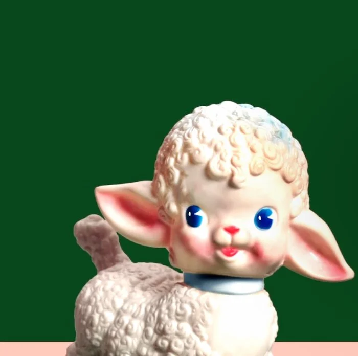 Lost Lambs by Madeline Cash