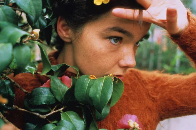#Inspo: Björk Photographed by Stefan Malzkorn