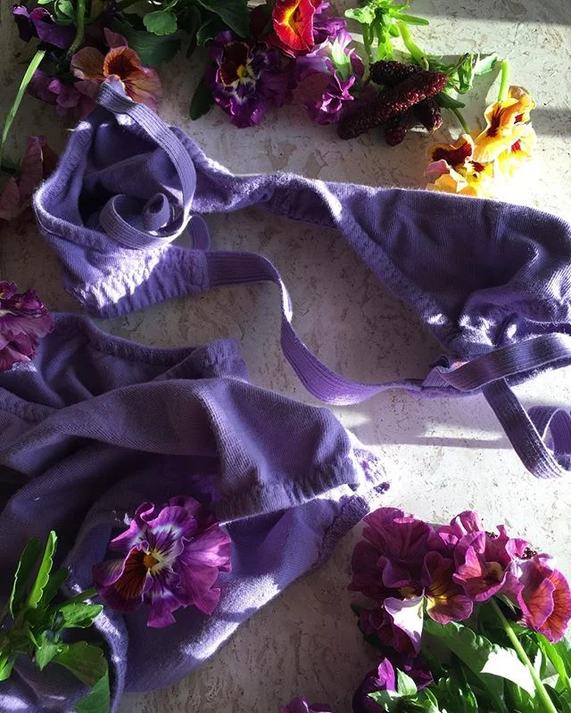 @pansyco: in pursuit of prettiness 