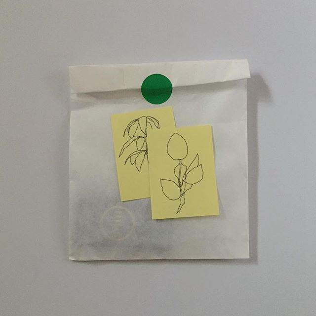 Favorite Instagrams via DNAMAG