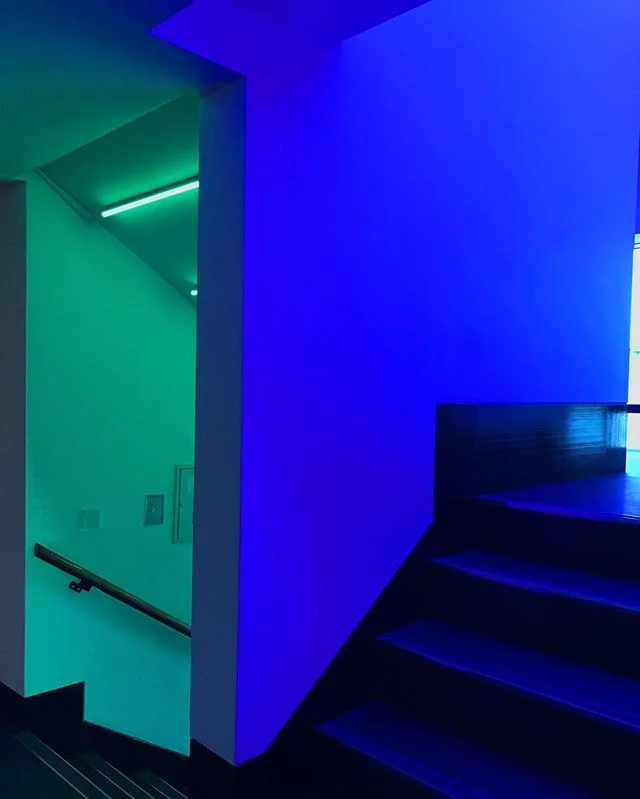 Favorite 5 Instagrams of the Week 🍃