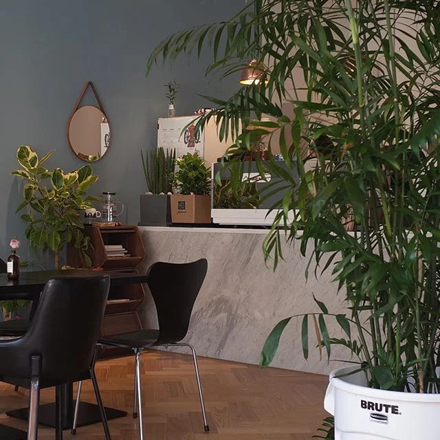 Favorite Instagrams via DNAMAG