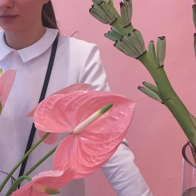 Favorite Instagrams via DNAMAG