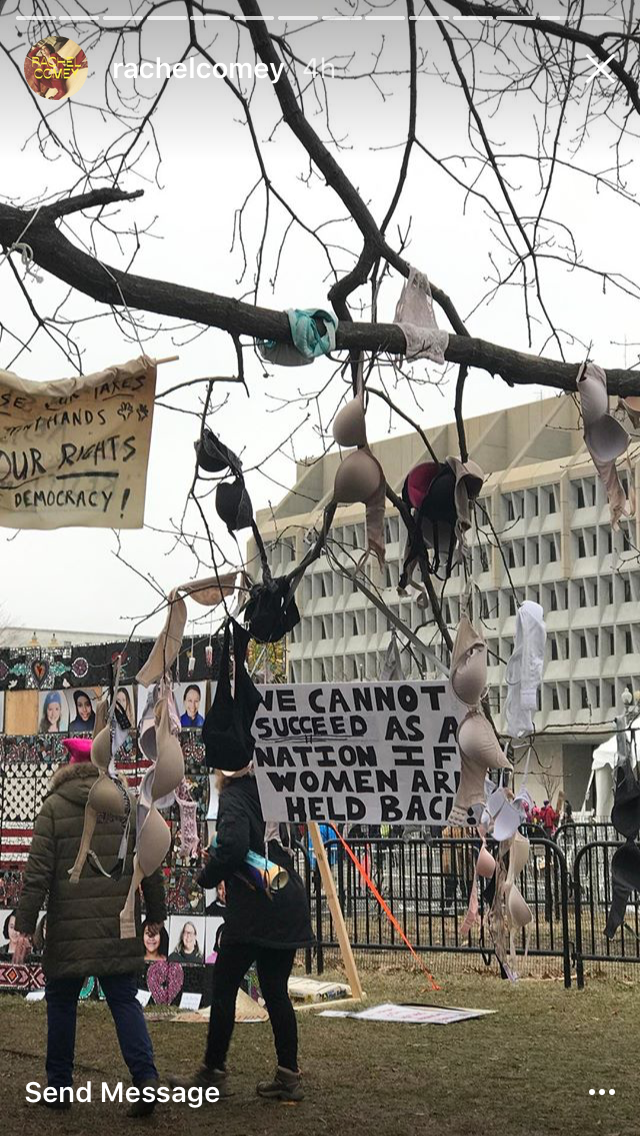 The Women's March in Instagram Stories via DNAMAG