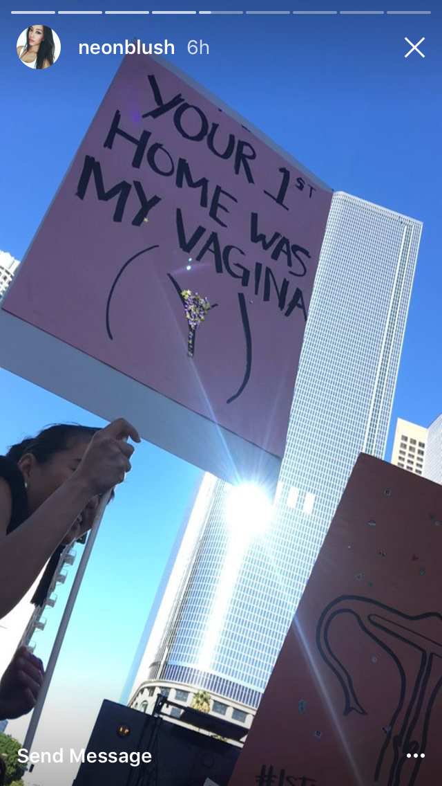 The Women's March in Instagram Stories via DNAMAG