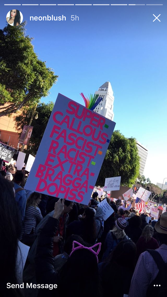 The Women's March in Instagram Stories via DNAMAG