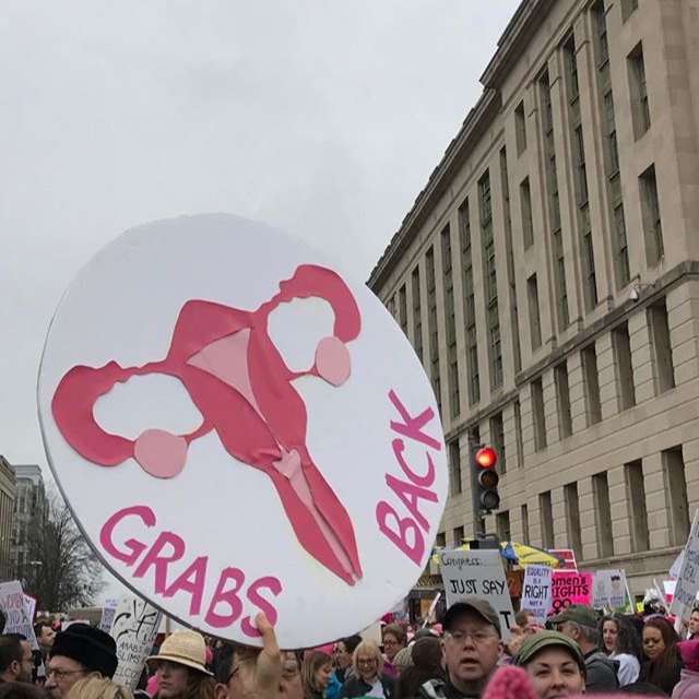 The Women's March in Instagram Stories