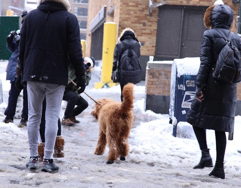 Streetstyle happens NYFW FW17 via DNAMAG