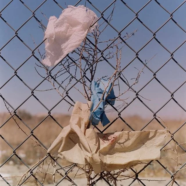 Favorite 5 Instagrams of the Week 🌴