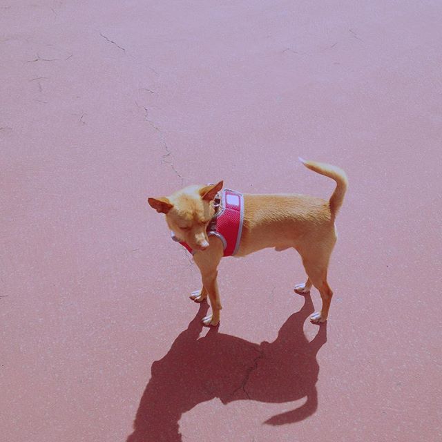 Favorite 5 Instagrams of the Week 