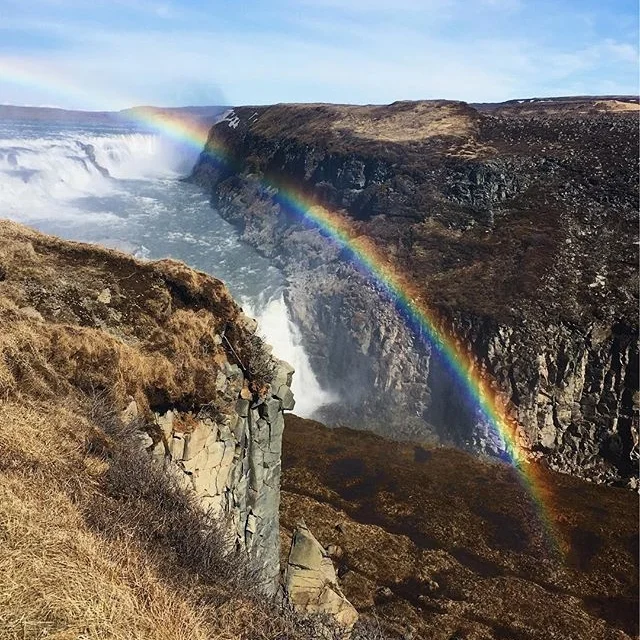 Favorite 5 Instagrams of the Week 🌈