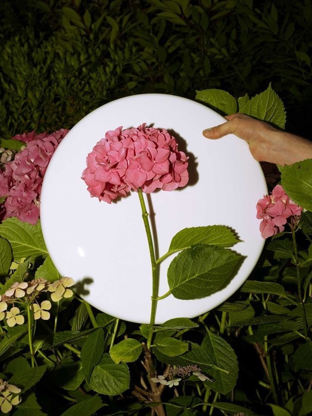 A visual display of images that express moments in creative lives via DNAMAG