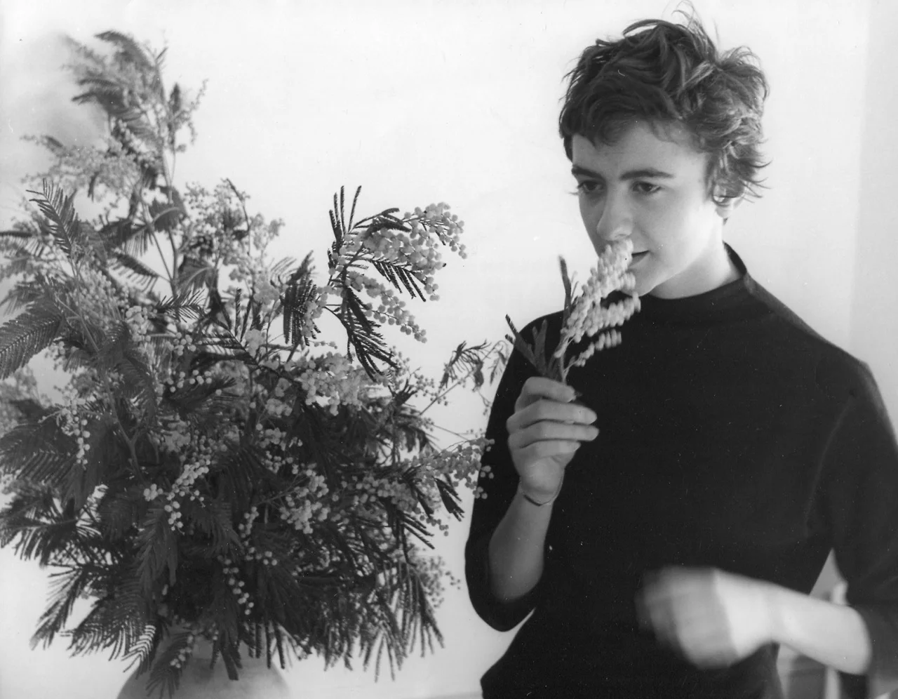 &ETH;&nbsp;&ETH;&micro;&ETH;&middot;&Ntilde;&ETH;&raquo;&Ntilde;&ETH;&deg;&Ntilde; &Ntilde; &ETH;&cedil;&ETH;&middot;&ETH;&frac34;&ETH;&plusmn;&Ntilde;&ETH;&deg;&ETH;&para;&ETH;&micro;&ETH;&frac12;&ETH;&cedil;&ETH;&micro; &ETH;&middot;&ETH;&deg; &acirc;francoise sagan&acirc;