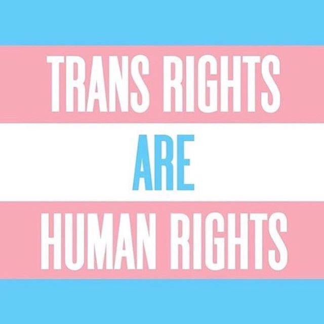 favorite instagrams via DNAMAG