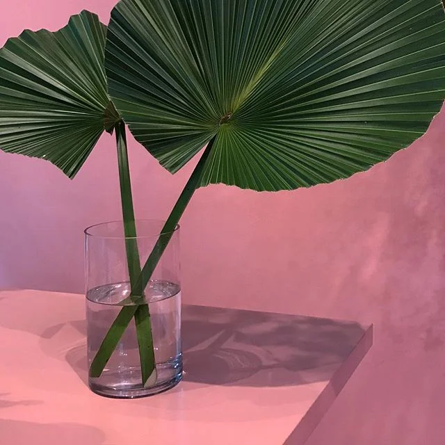 favorite instagrams via DNAMAG