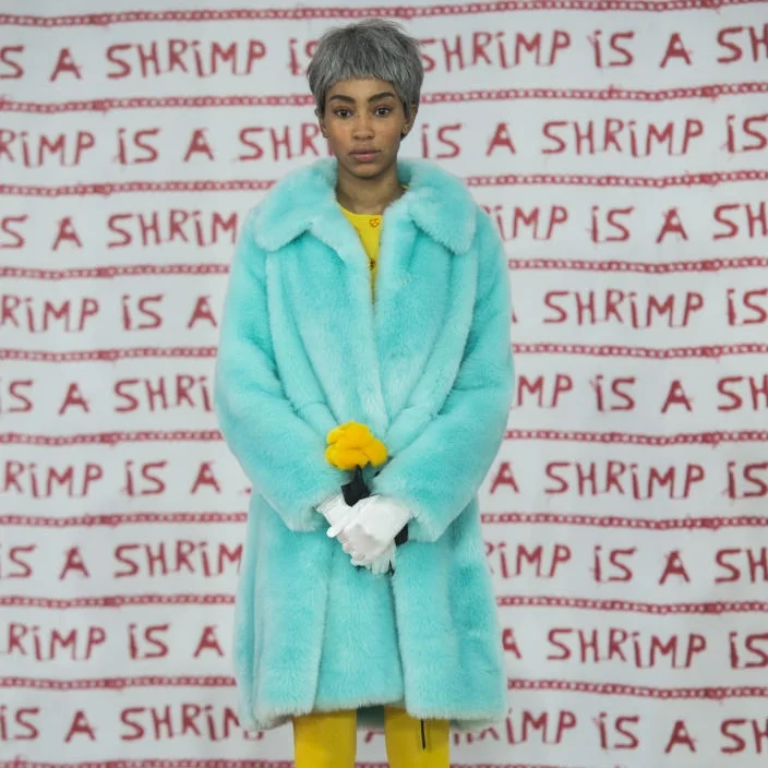 Romance and the Avant-Garde: Shrimps F/W 18