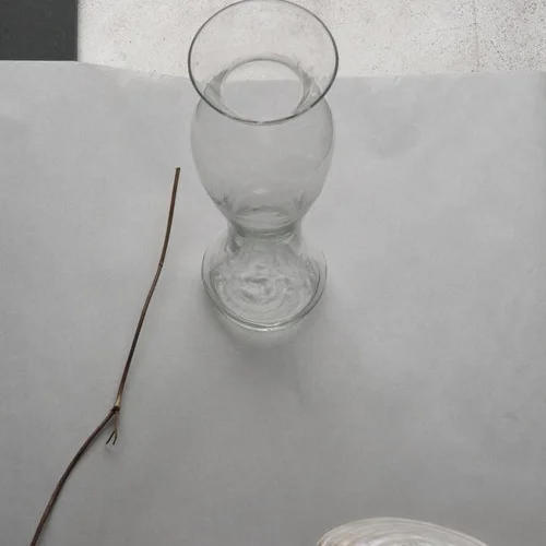 Who to Follow: Still Life Store
