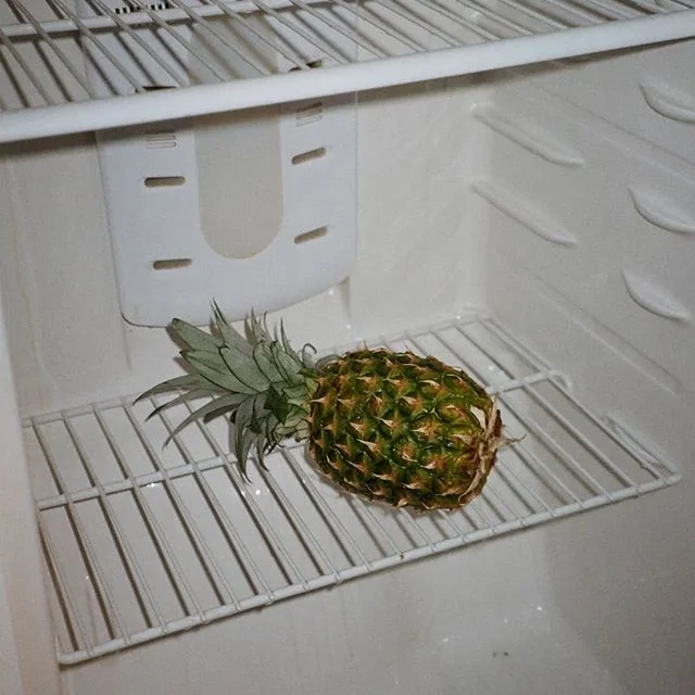 Favorite 5 Instagrams of the Week 🍍 