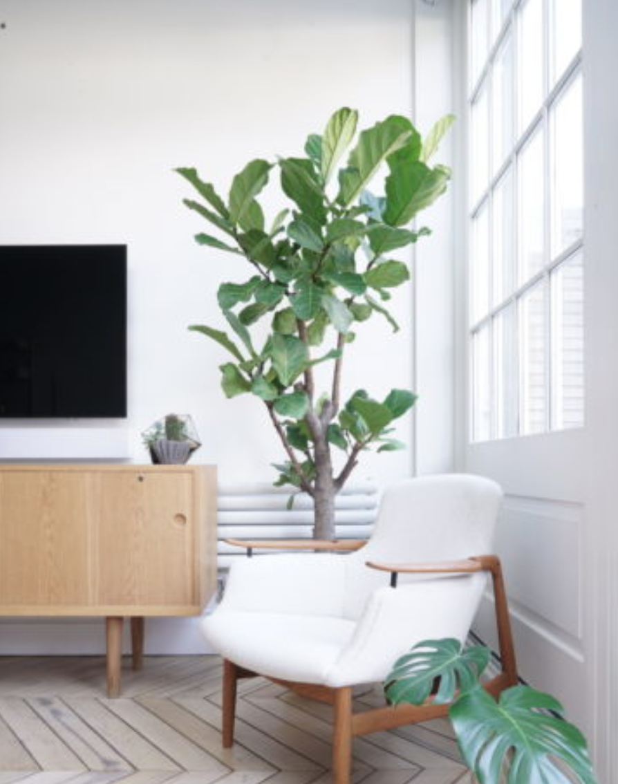 Girl to know: Estee Lalonde // DNAMAG