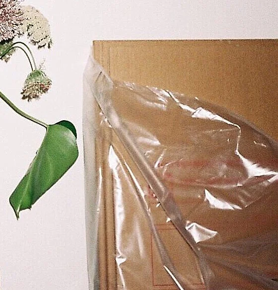 Favorite 5 Instagrams of the Week 🍃  